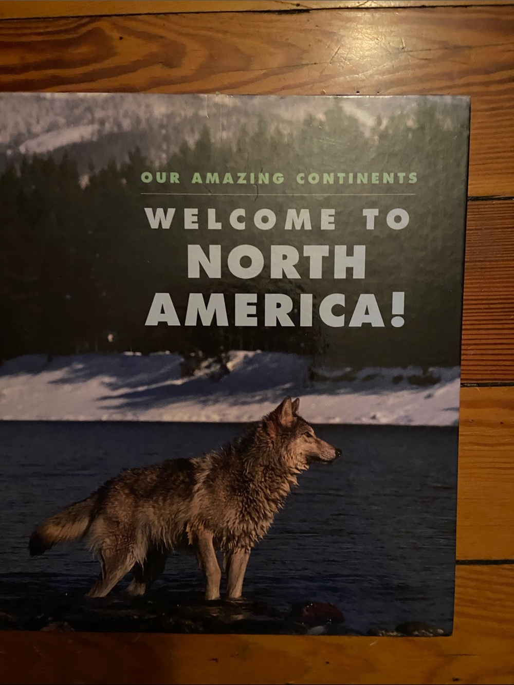 North America photo book USA United States Wolf U.S. NATURE photos animal wild